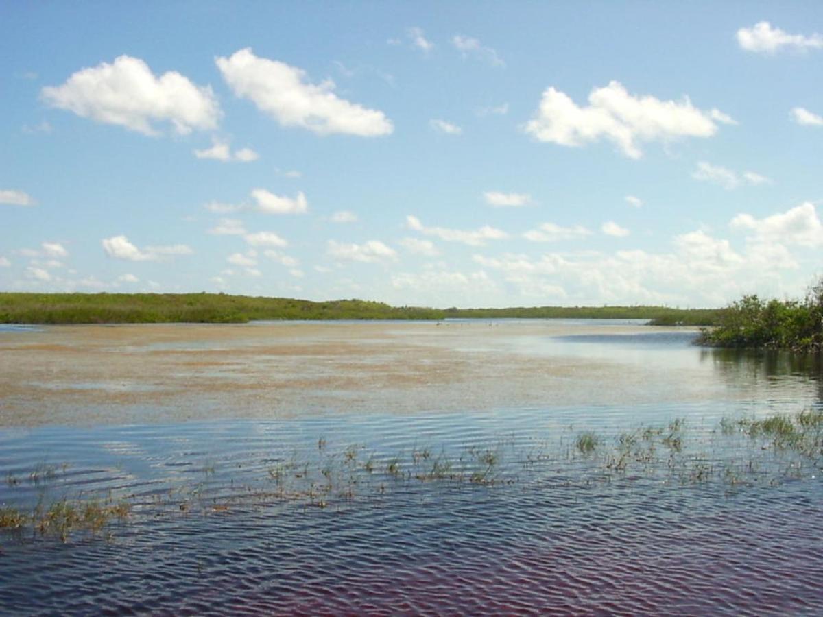 Buttonwood Reserve 2A James Cistern エクステリア 写真